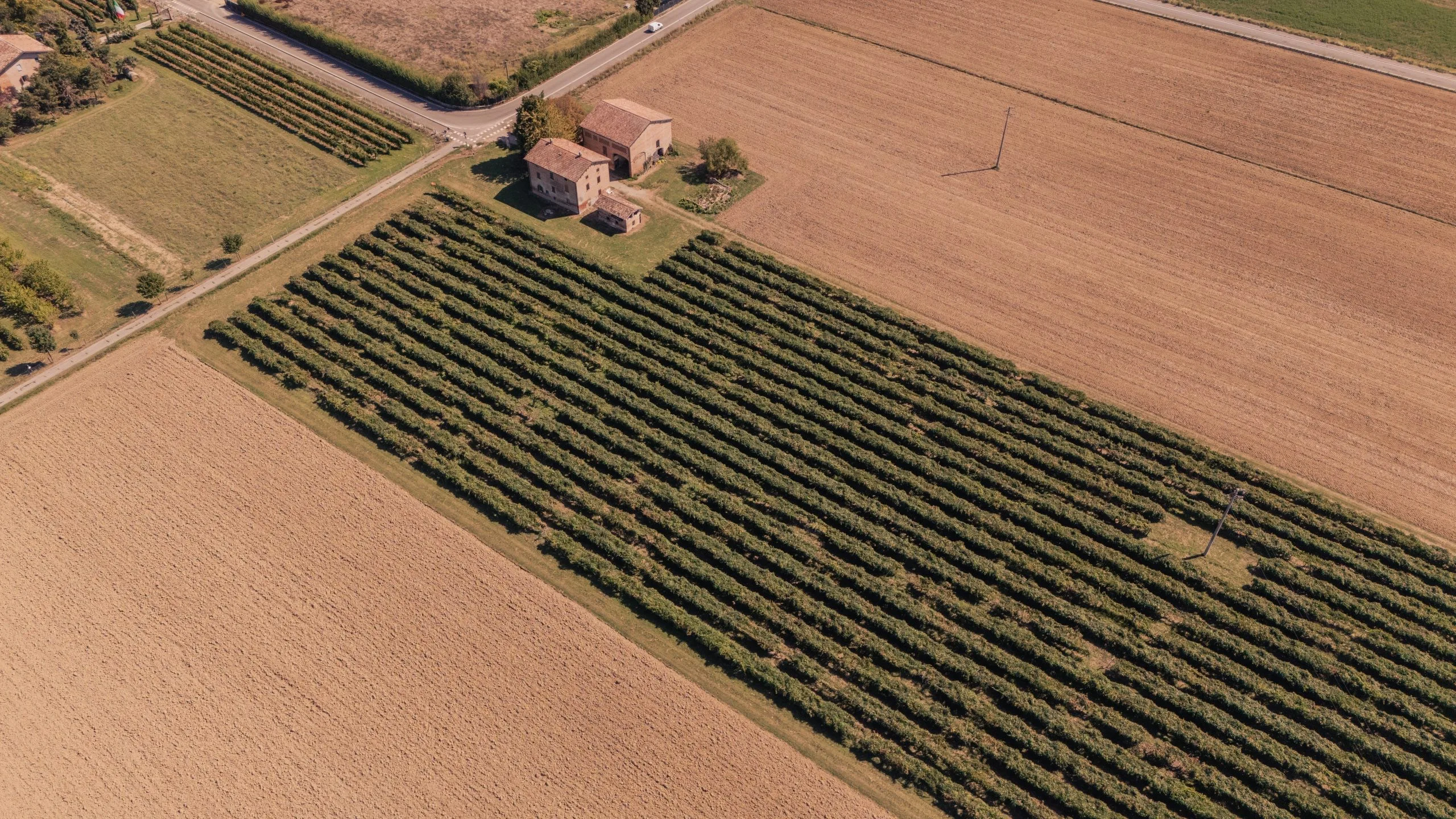 Tenuta Belvedere