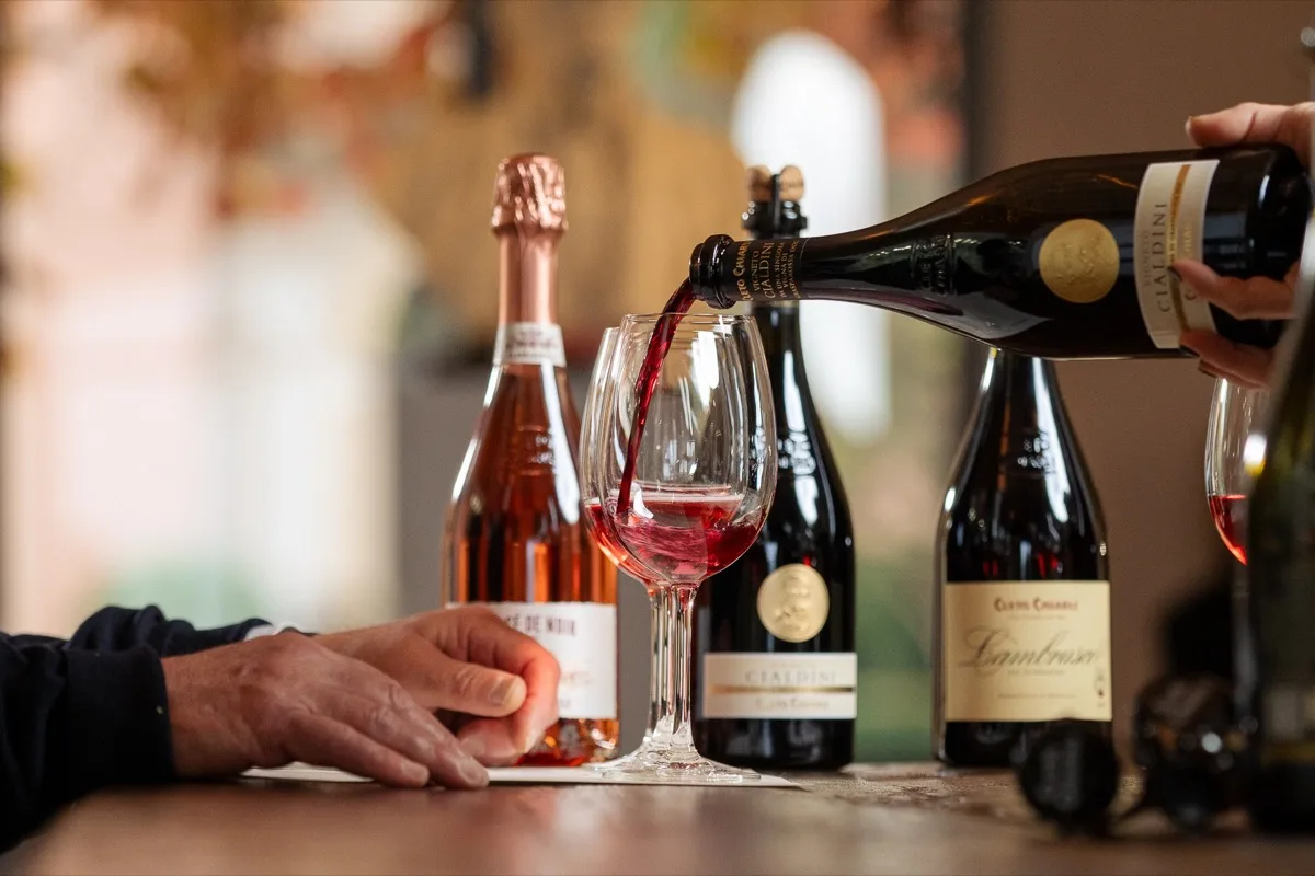 Wine Experience
