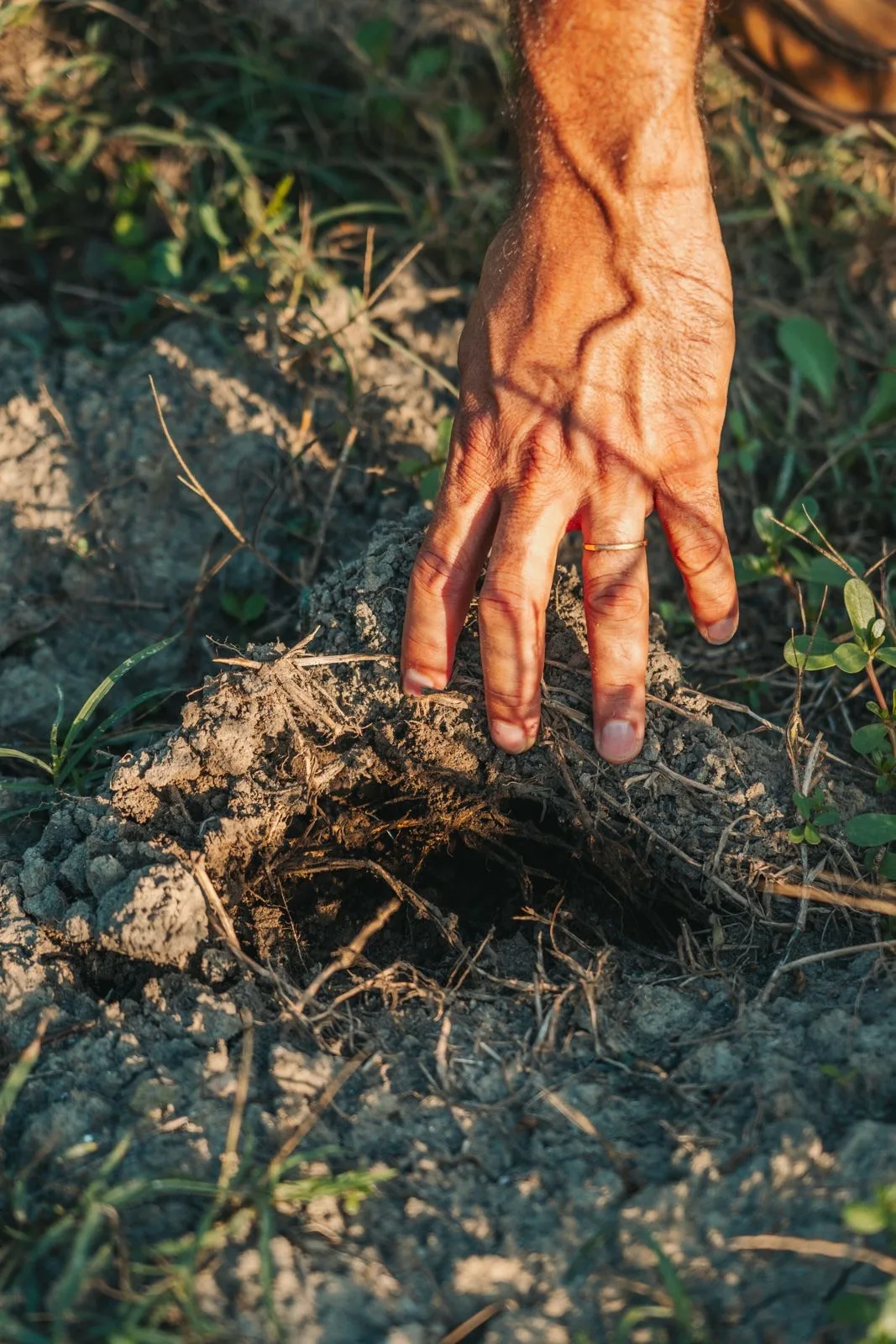 Water Footprint 2024