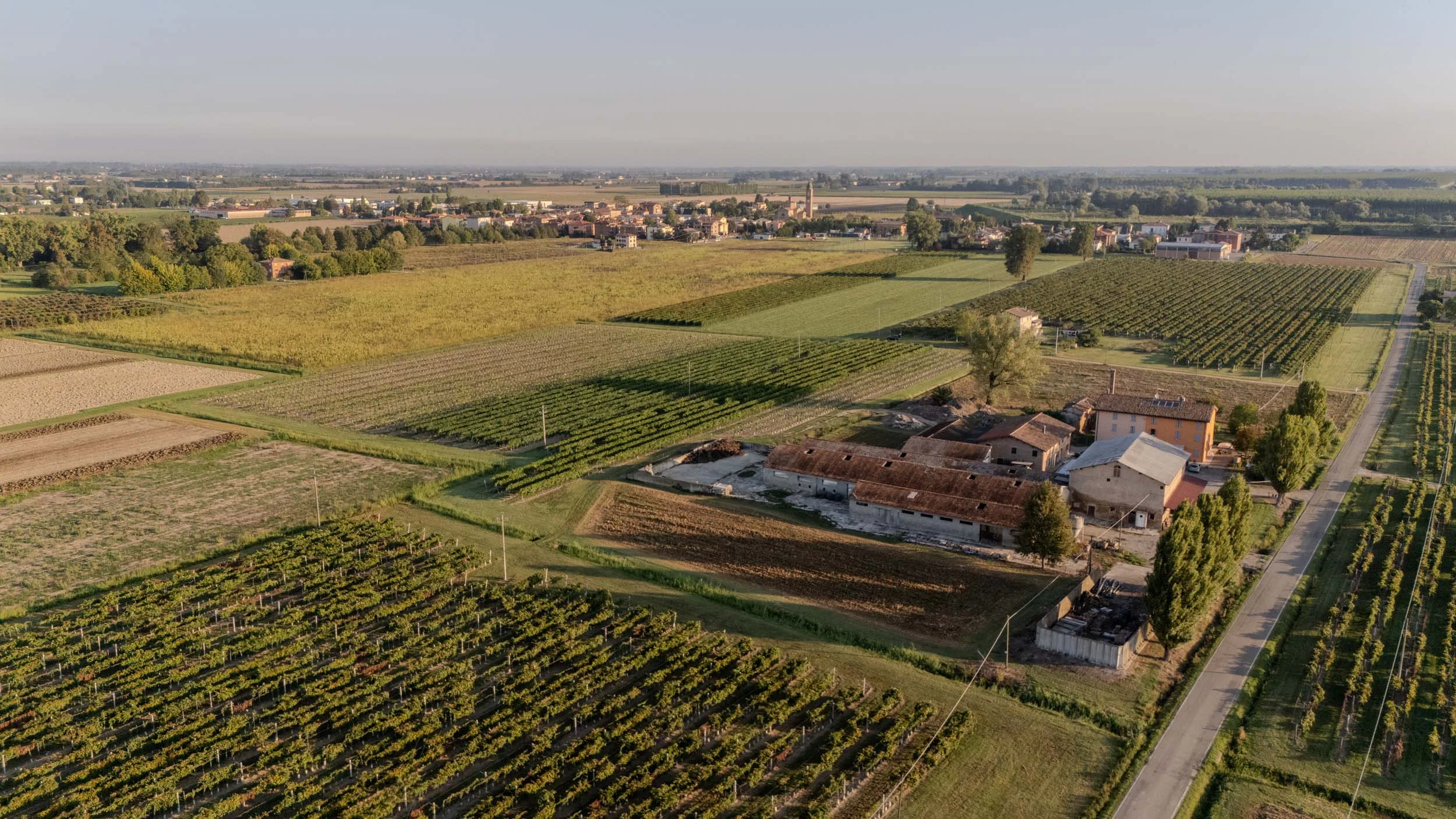 Uve Lambrusco di Sorbara