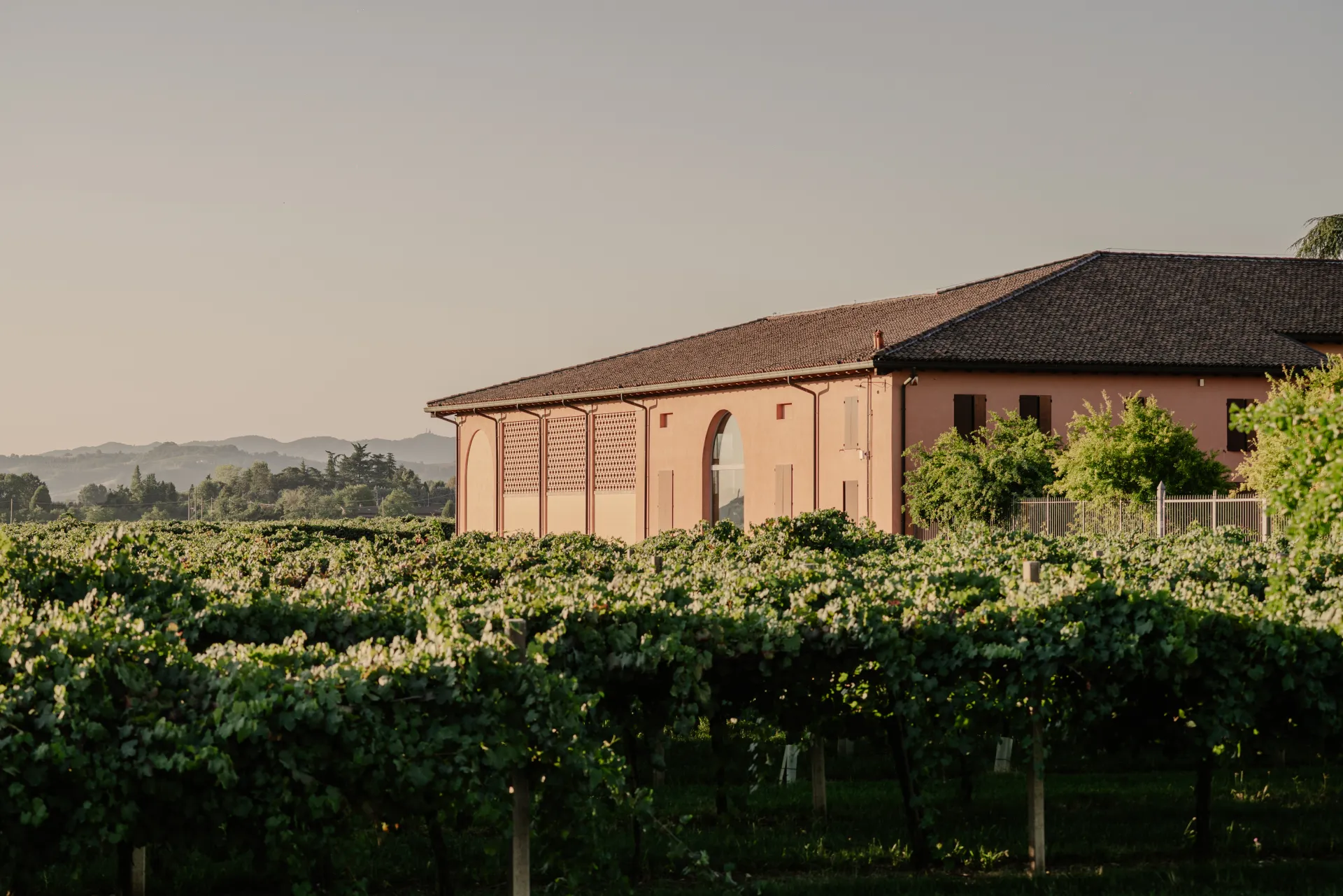 Vigneti e paesaggio per la degustazione di Tenuta Monteveglio