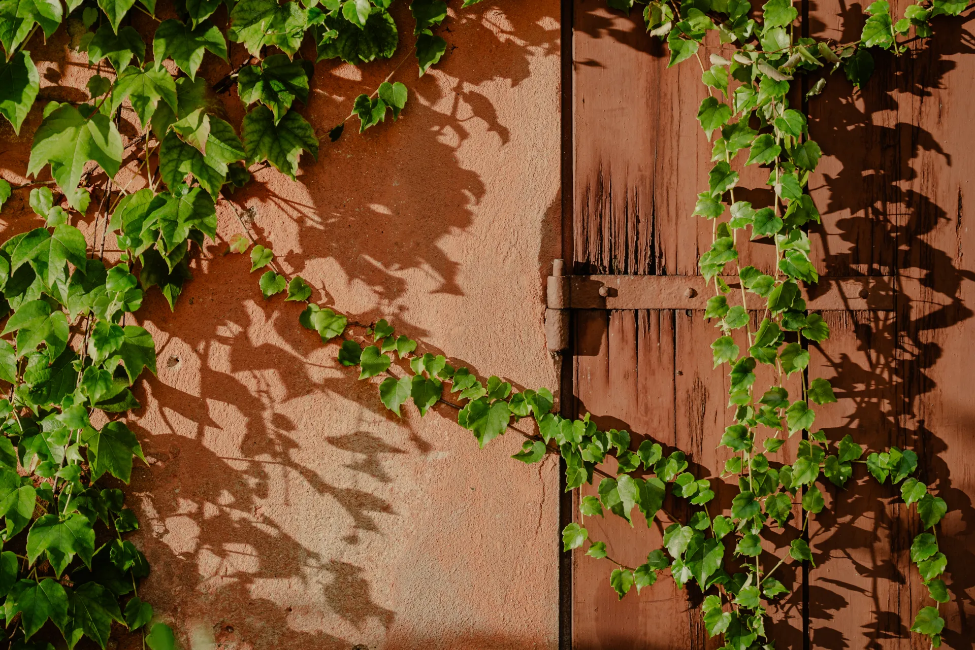 Vigneti e paesaggio per la degustazione di Villa Cialdini