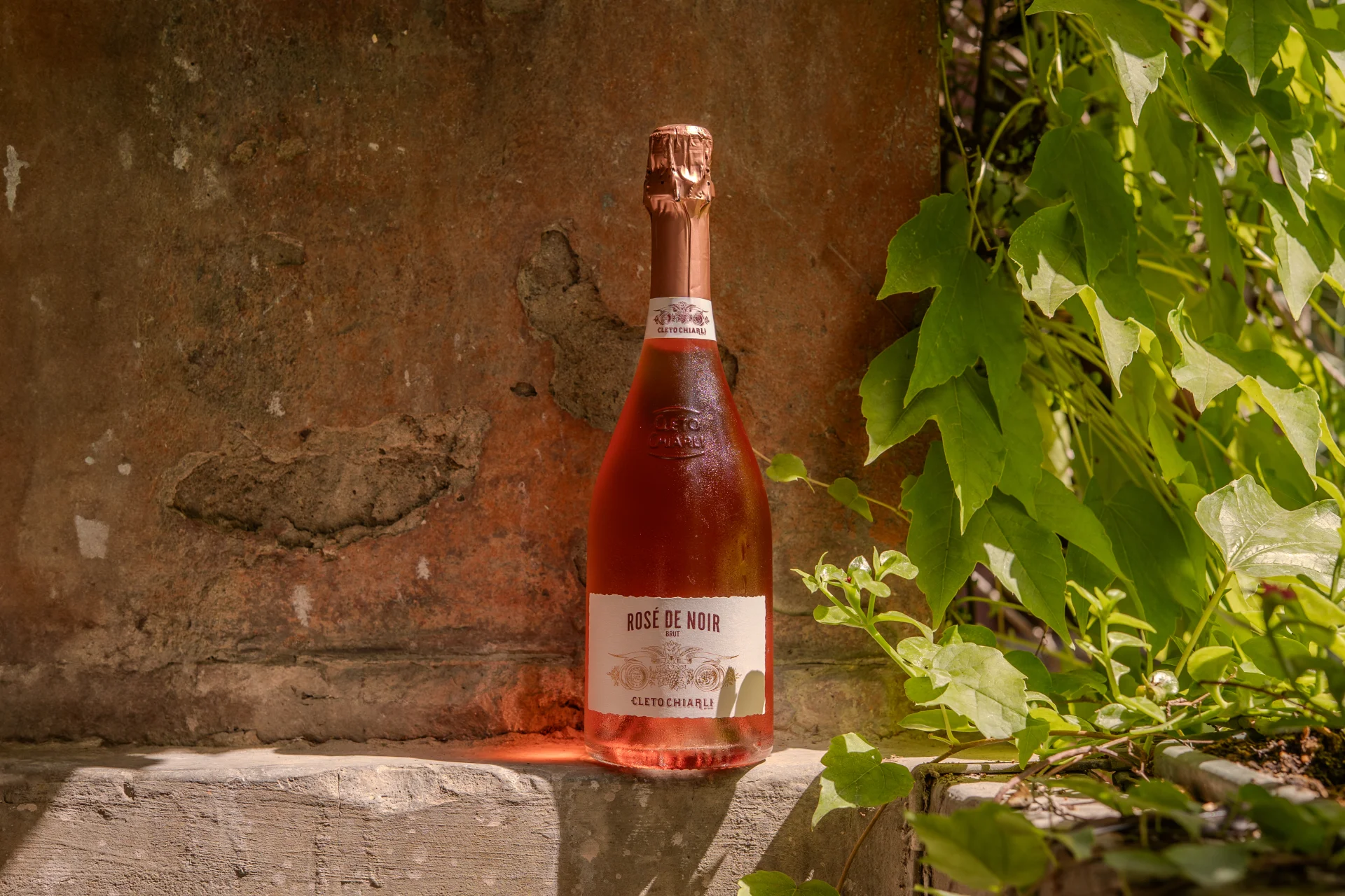 Eredità e tradizione di Rosé de Noir - Cleto Chiarli dal 1860